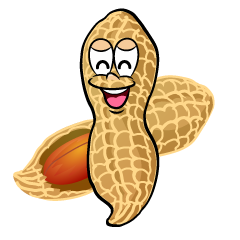 Smiling Peanut