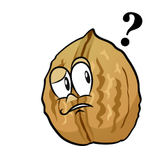 Thinking Walnut