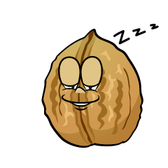 Sleeping Walnut