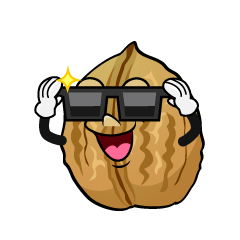 Cool Walnut