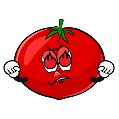 Enthusiasm Tomato