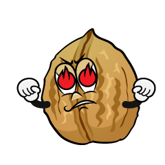 Enthusiasm Walnut