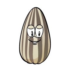 Sunflower Seed