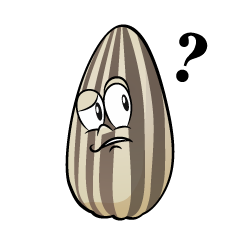 Thinking Sunflower Seed