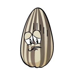 Depressed Sunflower Seed