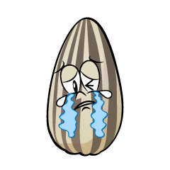 Crying Sunflower Seed