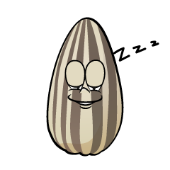 Sleeping Sunflower Seed