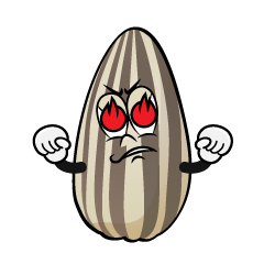 Enthusiasm Sunflower Seed
