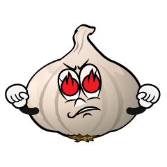 Enthusiasm Garlic