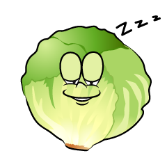Sleeping Lettuce