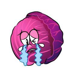 Crying Red Cabbage