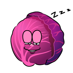 Sleeping Red Cabbage
