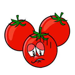Depressed Cherry Tomato
