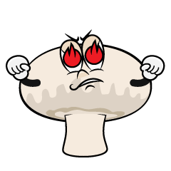 Enthusiasm Mushroom