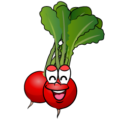 Smiling Radish