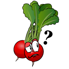 Thinking Radish