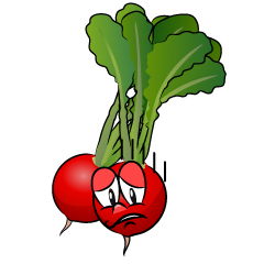 Depressed Radish