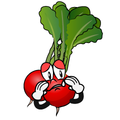 Sad Radish