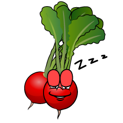 Sleeping Radish