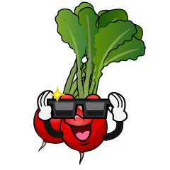 Cool Radish