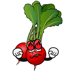 Enthusiasm Radish