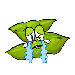 Crying Edamame